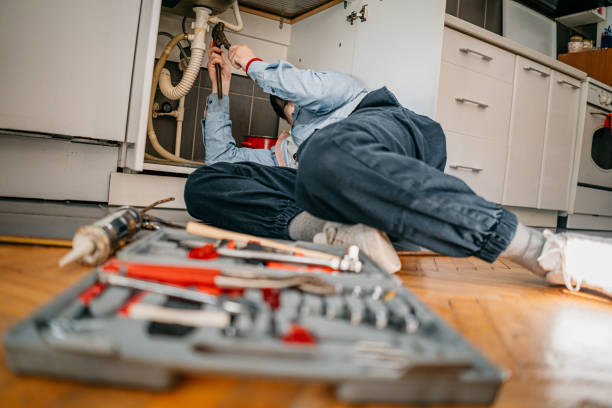 Best Plumbing Services Near Me  in Atkins, IA