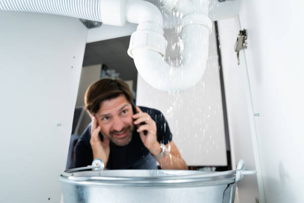 Best Best Plumbers Near Me  in Atkins, IA